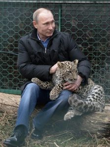 Putin acariciando a un leopardo