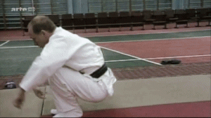 Gif de Putin dando volteretas